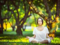 FB赛事直播-公牛轻取开拓者，霍勒迪在世界排名争夺战中接管比赛