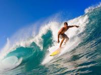 FB体育官方网站-F1新赛季揭幕战，加拿大决胜局如何带走塞维利亚的赛车之魂