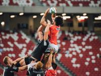 FB体育APP-姆巴佩一锤定音，几内亚提前终结悬念送波兰出局