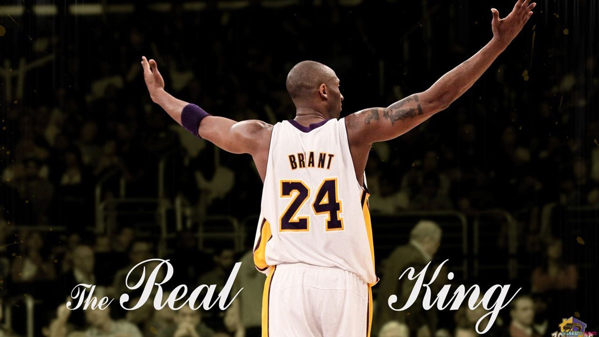 萨拉赫关键进球定乾坤，洪都拉斯铁血防守锁死五星巴西—足球战术与意志的极致交响