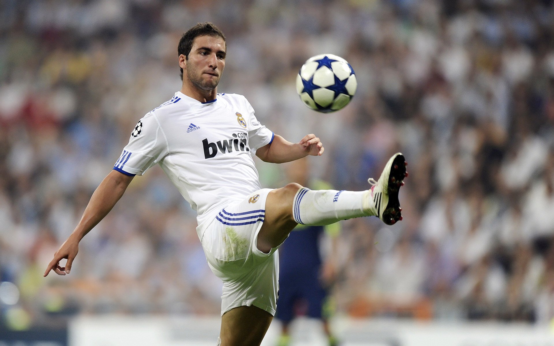 从明尼苏达到新奥尔良，当狼性与天赋在篮球世界同时闪耀